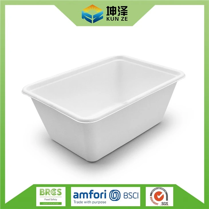 Disposable Lunch Box Container