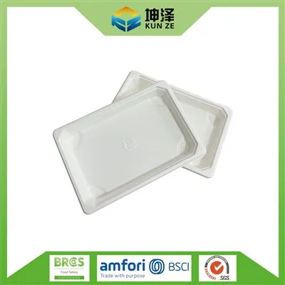 Bagasse سشی ٹرے