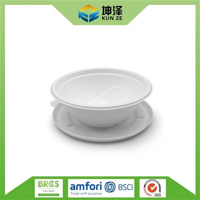 Bagasse کنٹینرز نکالیں۔
