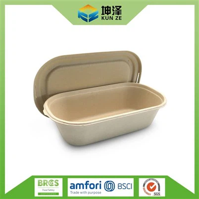 ماحول دوست سلاد باکس