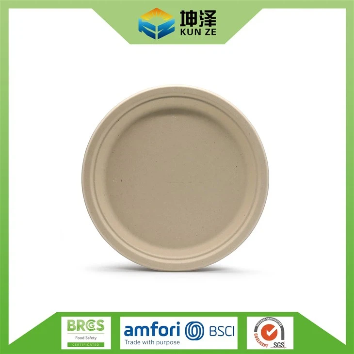 Biodegradable Sugarcane Bagasse Plates