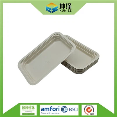 ڈسپوزایبل ٹرے۔