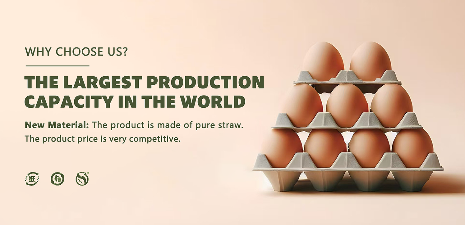 egg carton egg carton